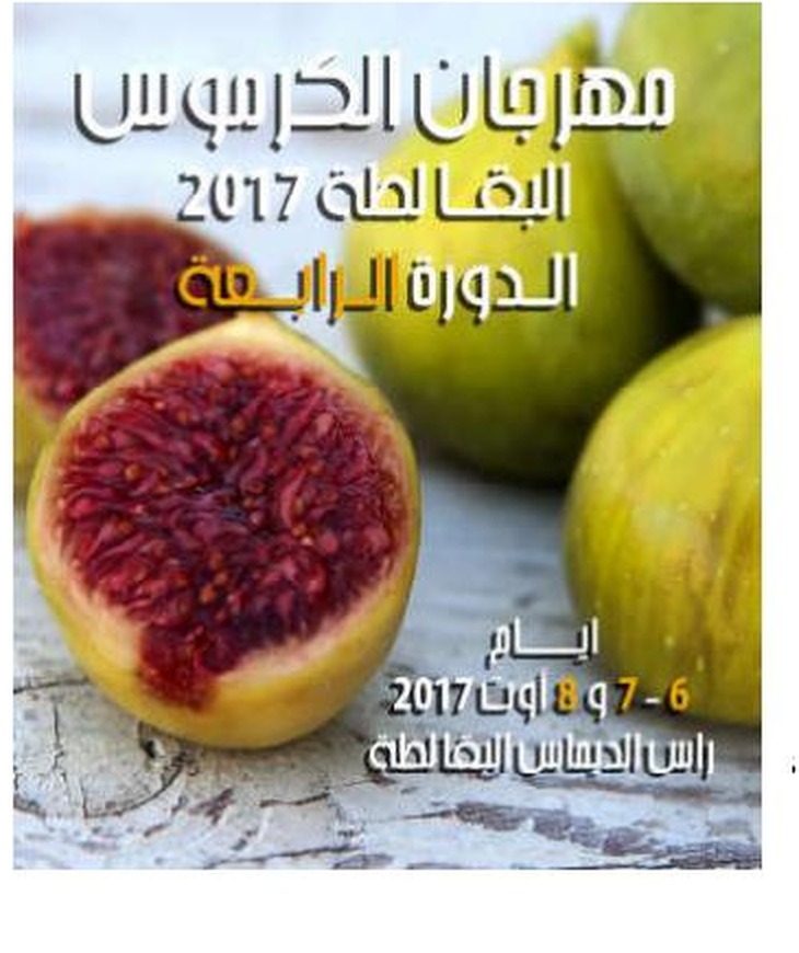 مهرجان التين بالبقالطة